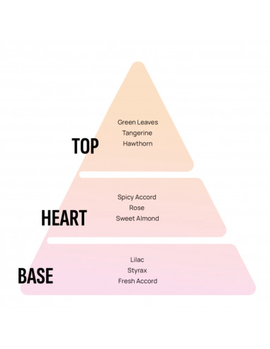 Areon Gel Can Flieder GCK11 - Lufterfrischer, Autoduft & Duftdose finden auf | areon-fresh.de
