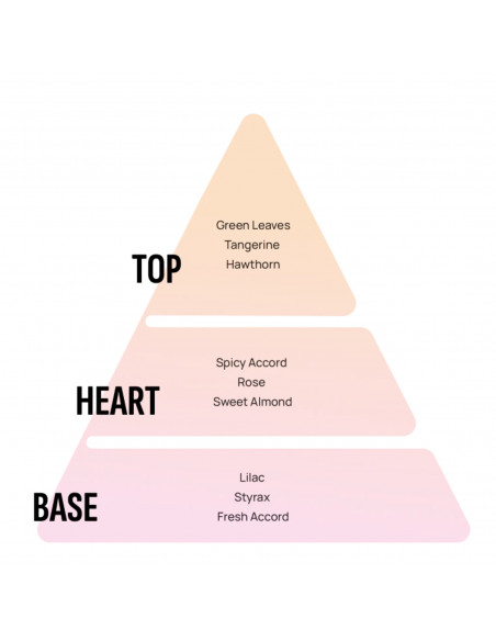 Areon Gel Can Flieder GCK11 - Lufterfrischer, Autoduft & Duftdose finden auf | areon-fresh.de Areon Gel Can Flieder GCK11 - Lufterfrischer, Autoduft & Duftdose finden auf | areon-fresh.de