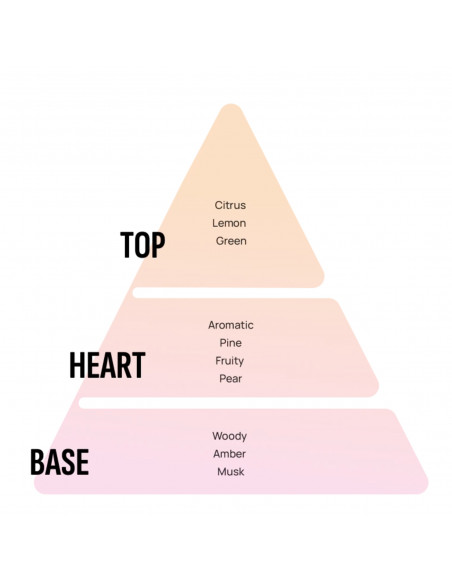 Areon Gel Can Black Crystal GCK12 - Lufterfrischer, Autoduft & Duftdose finden auf | areon-fresh.de