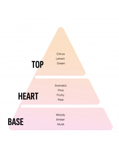 Areon Gel Can Traum GCK02 - Lufterfrischer, Autoduft & Duftdose finden auf | areon-fresh.de